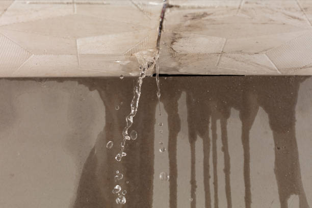 Professional Structural Drying technician working in Clarksville, TX